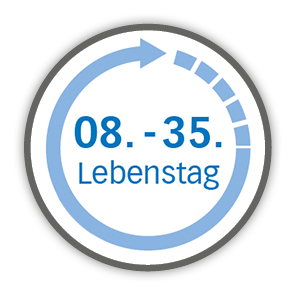 Fütterung von Hand