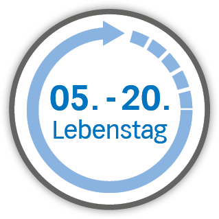 Fütterung von Hand